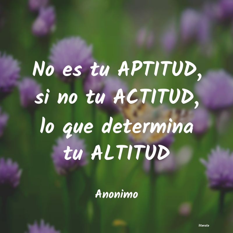 frases