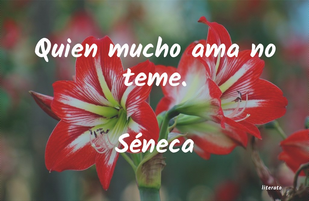 frases de Séneca
