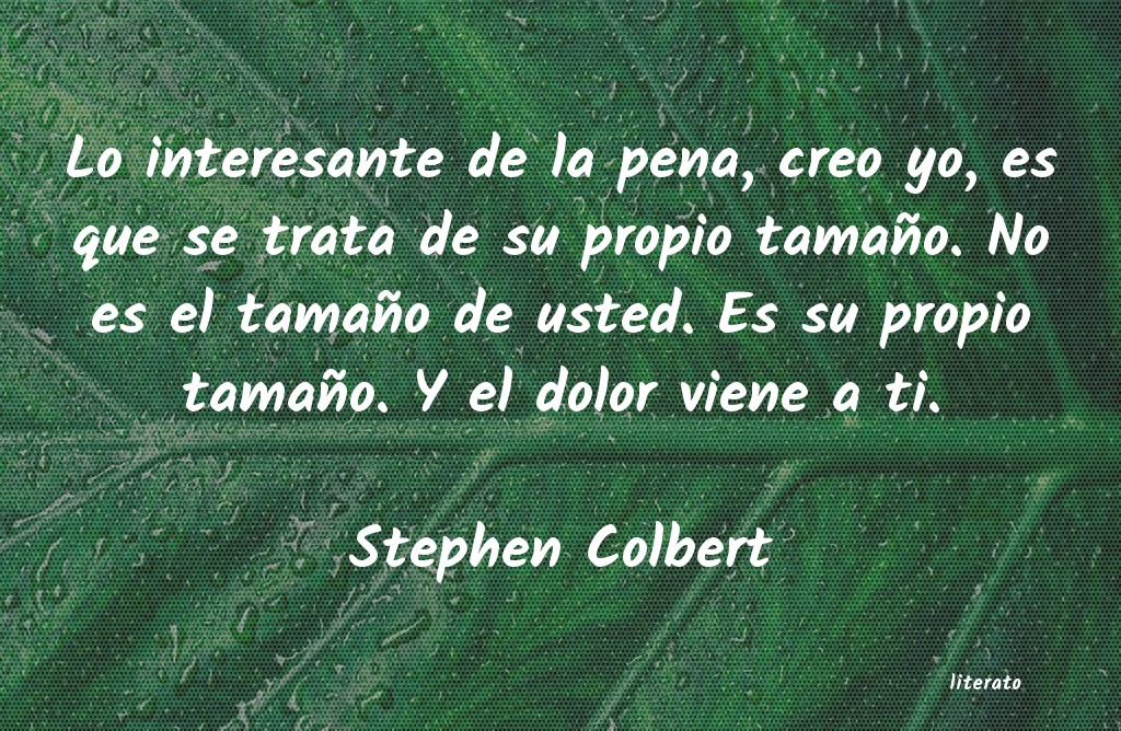 Frases de Stephen Colbert