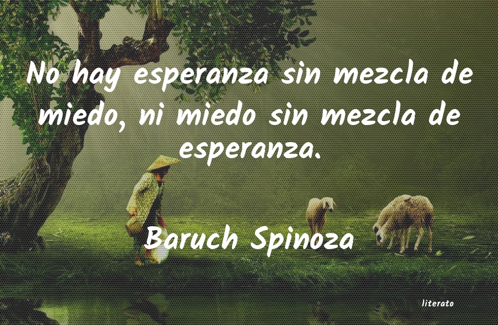 Frases de Baruch Spinoza