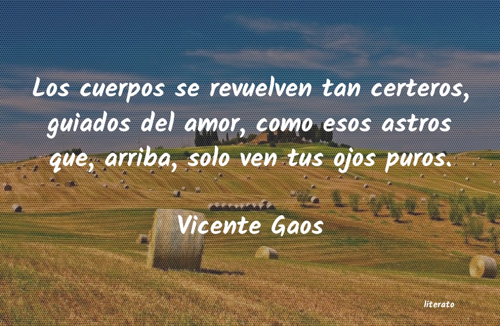 Frases de Vicente Gaos
