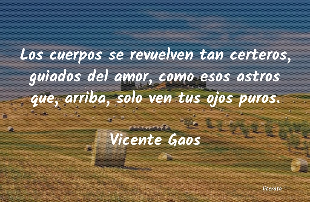 frases de Vicente Gaos