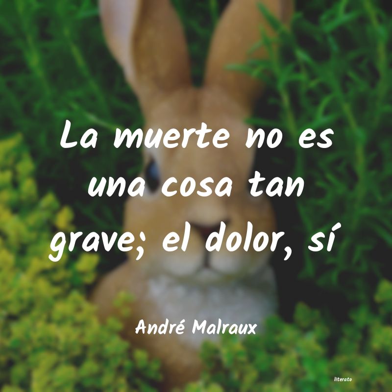 Frases de André Malraux