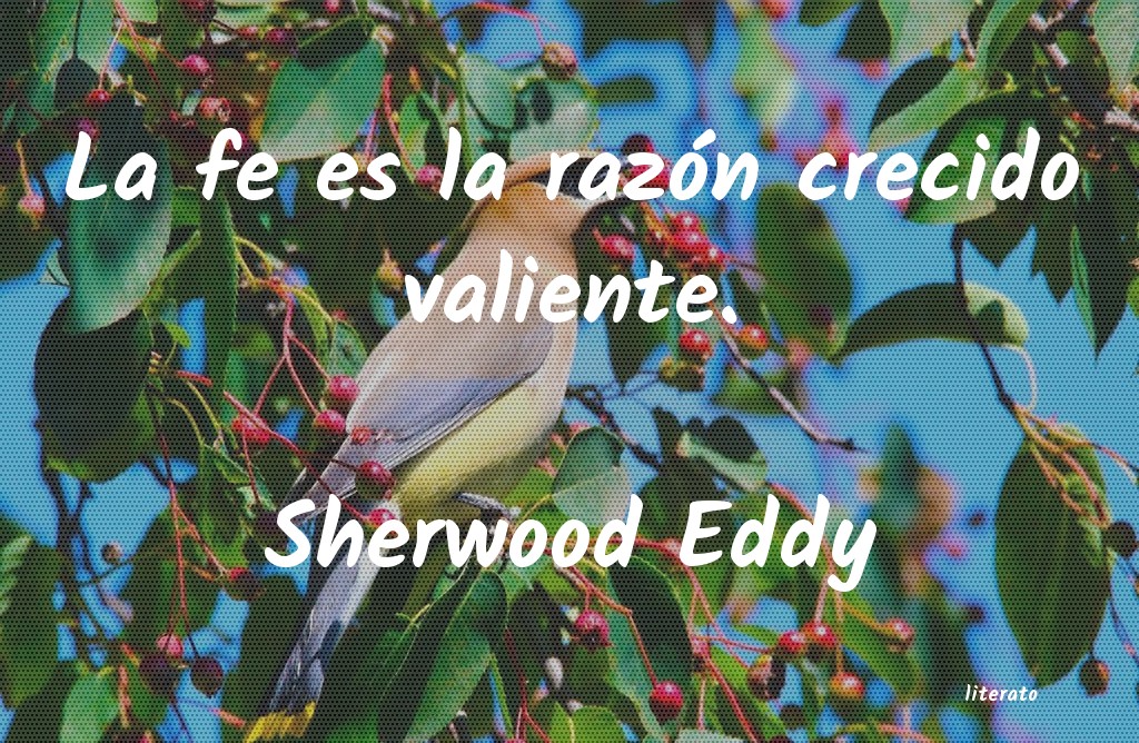 frases de Sherwood Eddy