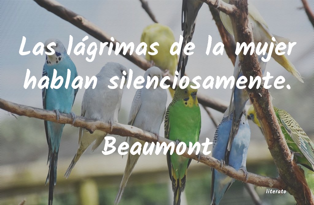 frases de Beaumont
