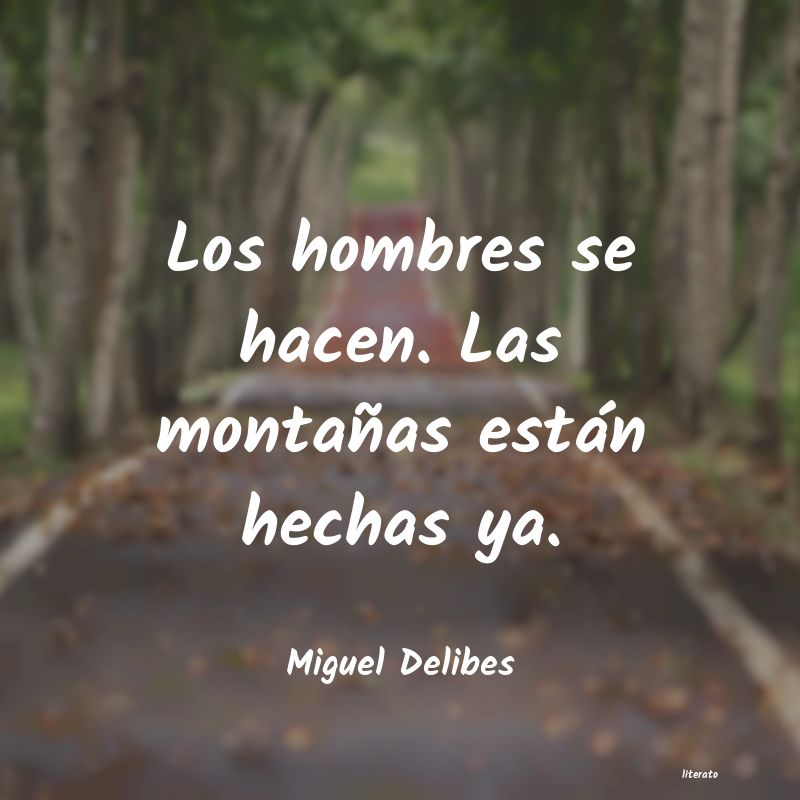 frases de Miguel Delibes