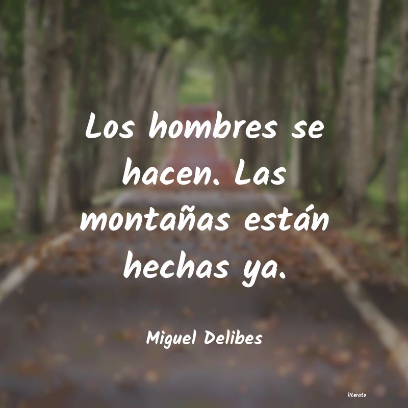 Frases de Miguel Delibes