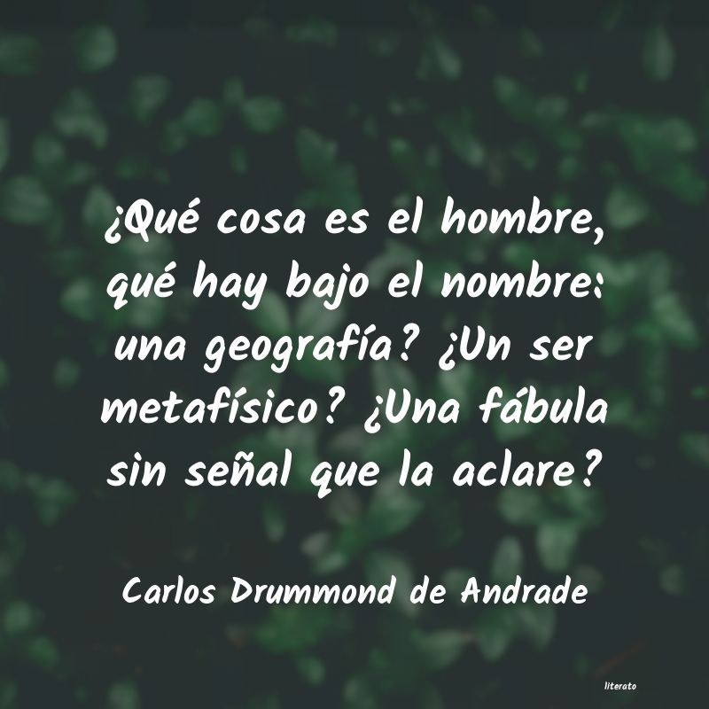 frases de Carlos Drummond de Andrade