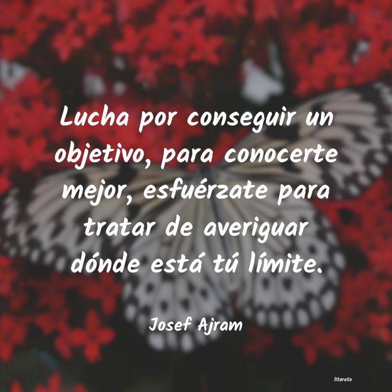 frases de Josef Ajram