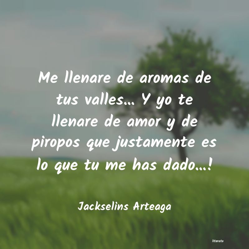 frases de Jackselins Arteaga