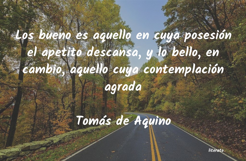 Frases de Tomás de Aquino