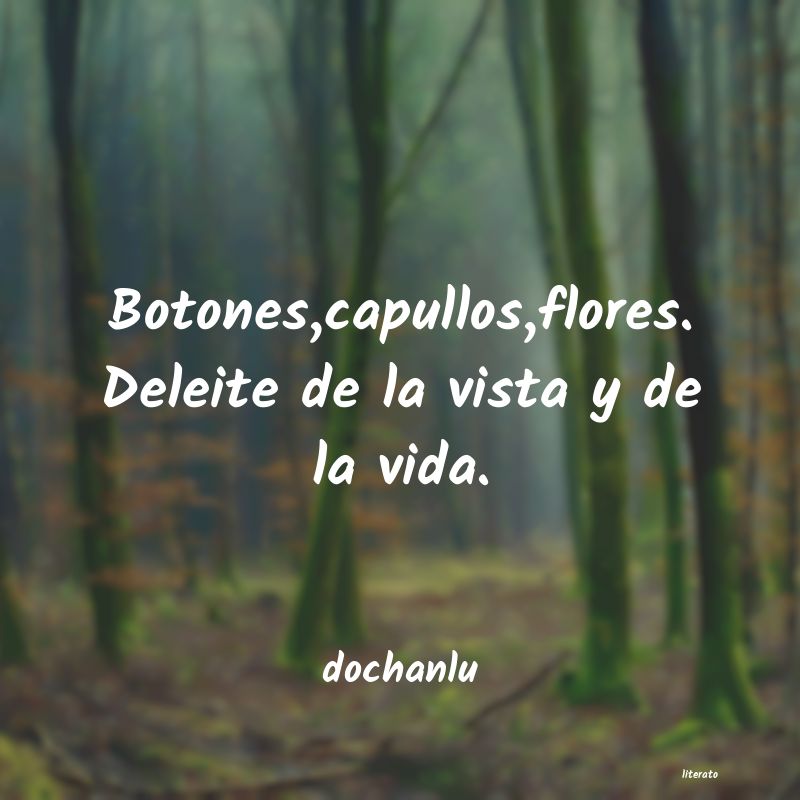 frases de dochanlu