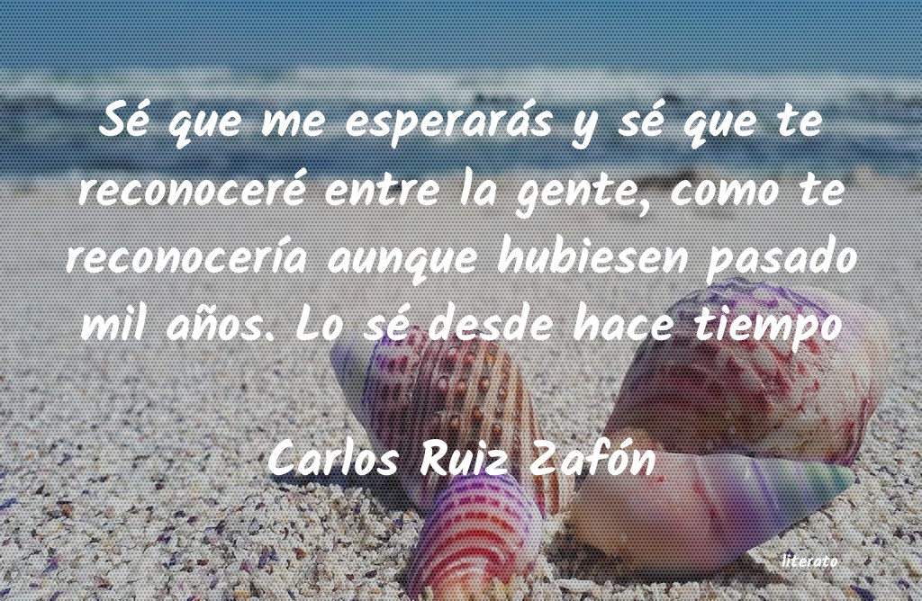 frases de Carlos Ruiz Zafón