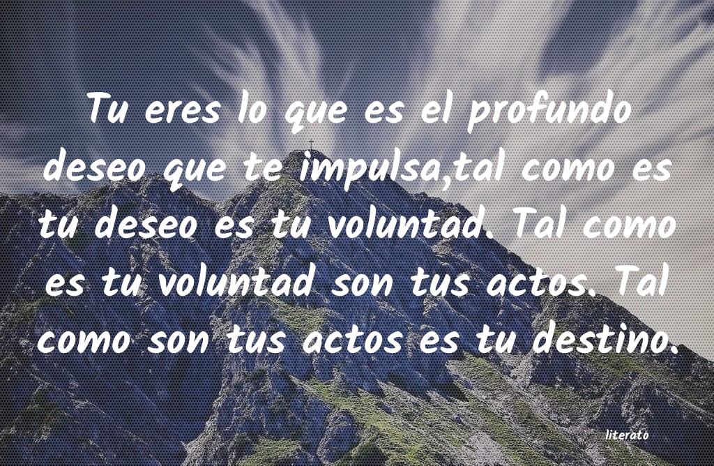 frases