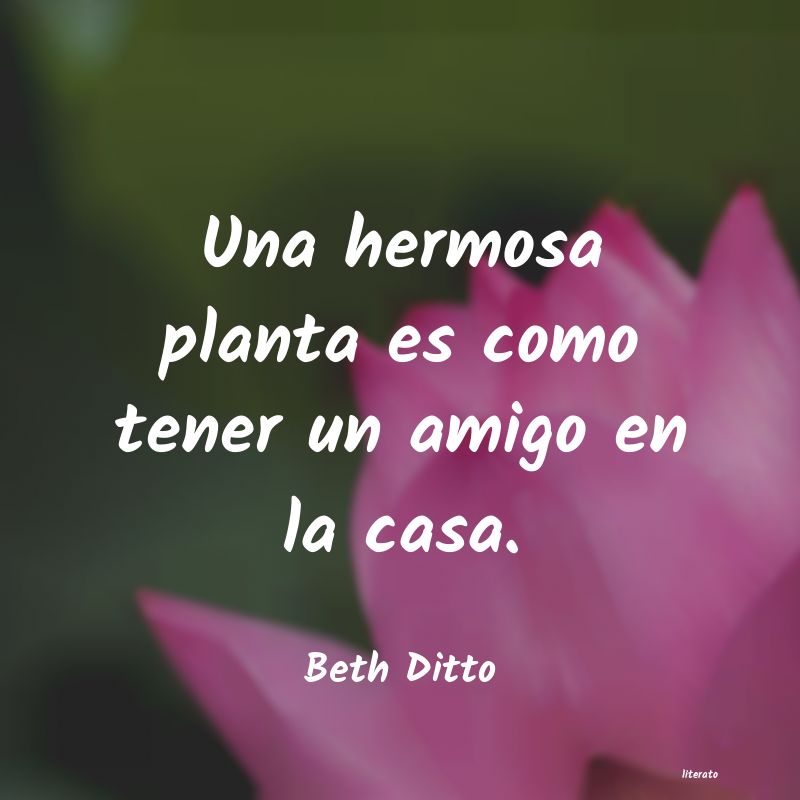 Frases de Beth Ditto