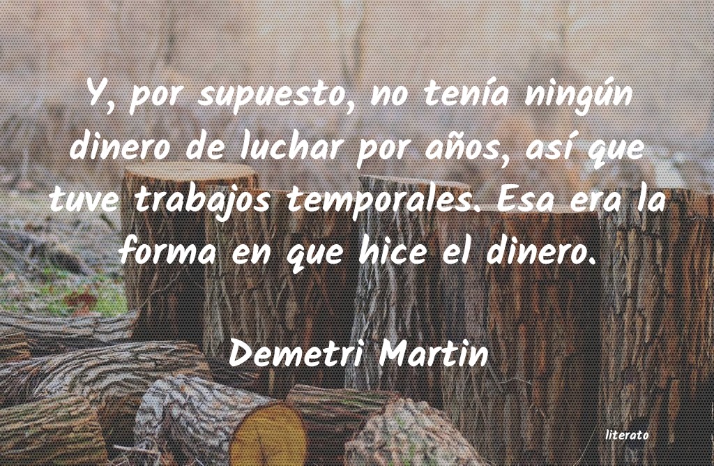 frases de Demetri Martin