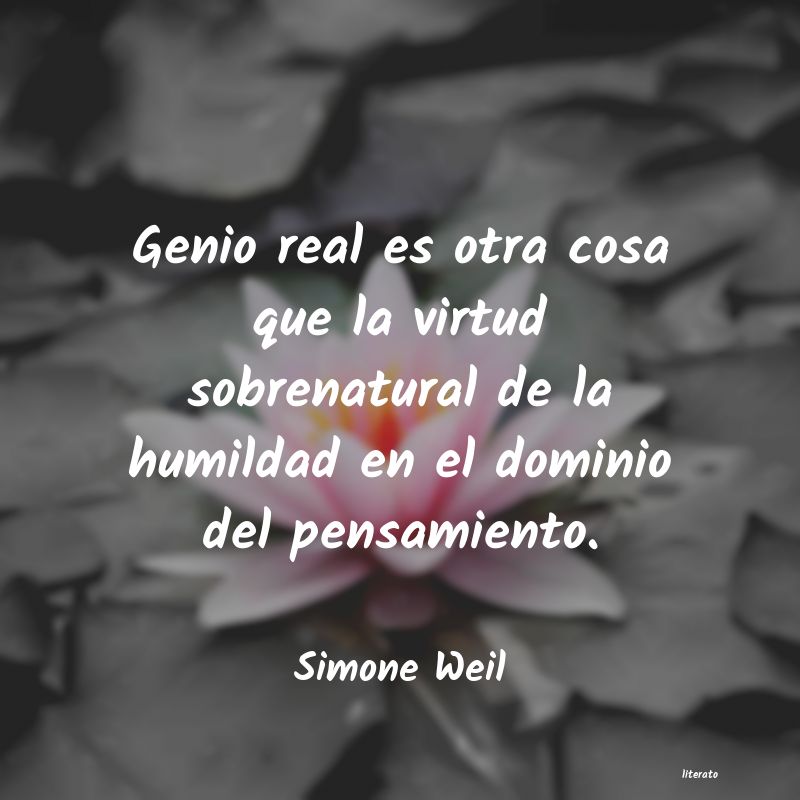 frases de Simone Weil