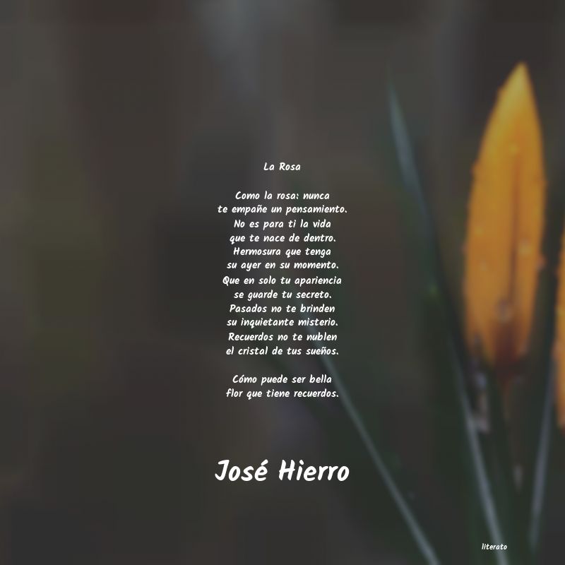 Frases de José Hierro