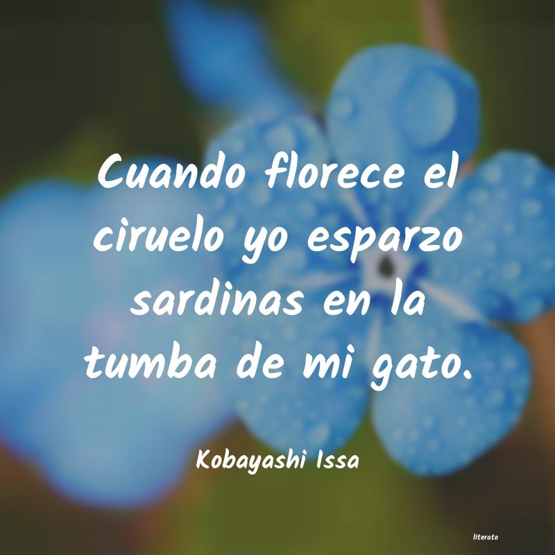 frases de Kobayashi Issa