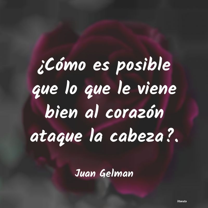 Frases de Juan Gelman