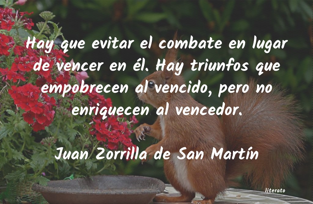 Frases de Juan Zorrilla de San Martín