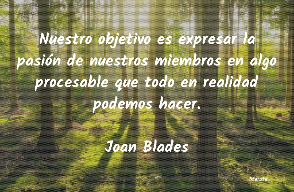 Frases de Joan Blades