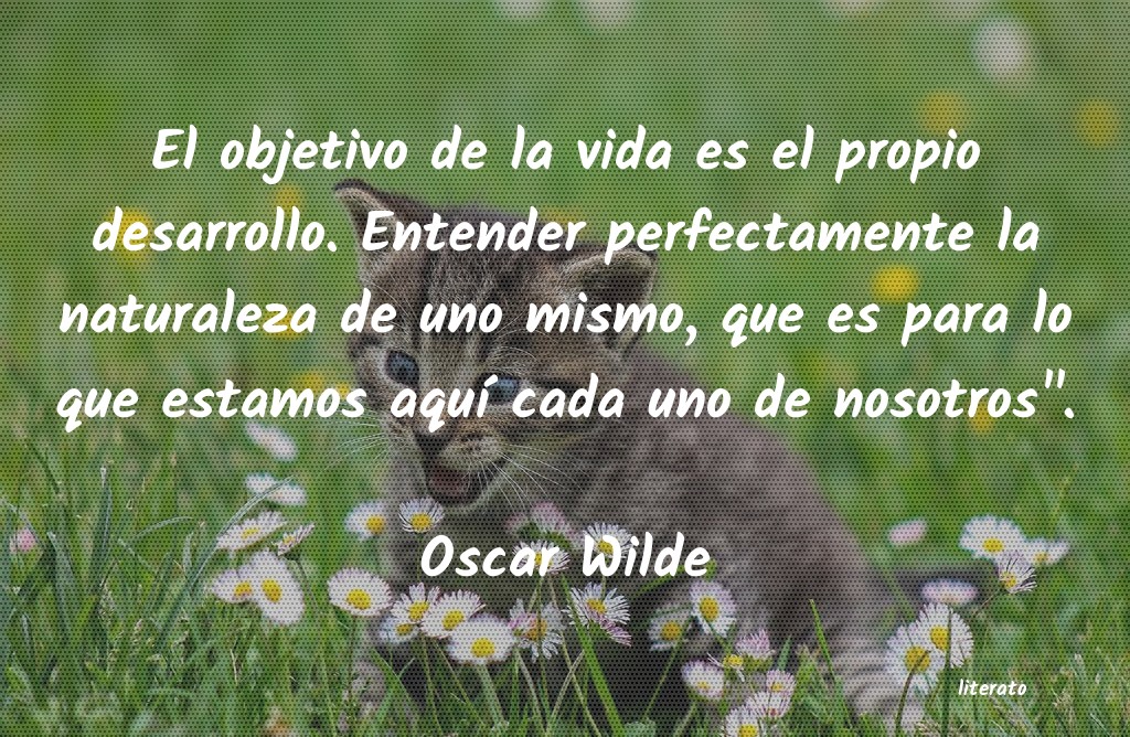 Frases de Oscar Wilde