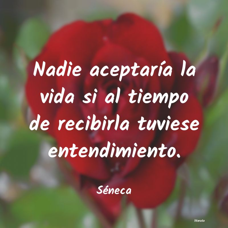 frases de SÃ©neca