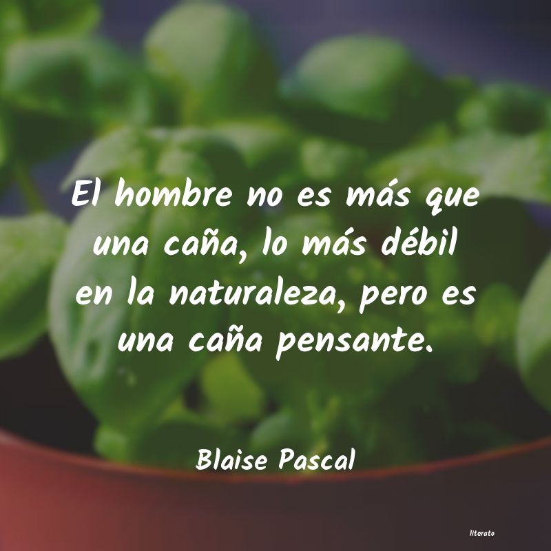 Frases de Blaise Pascal