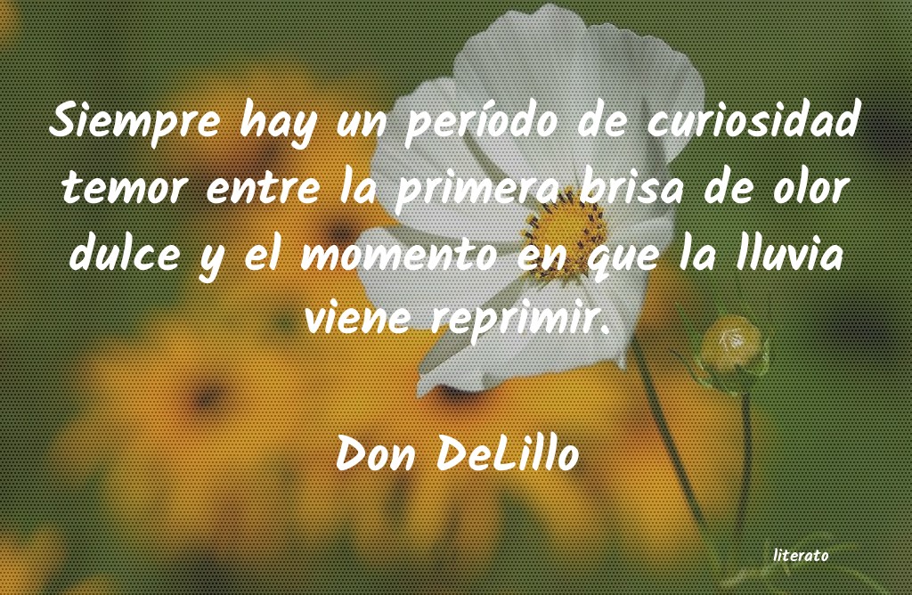 frases de Don DeLillo