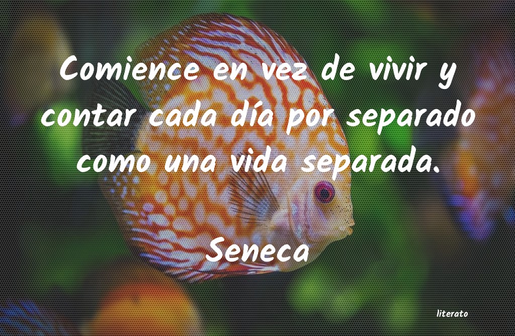 frases de Seneca