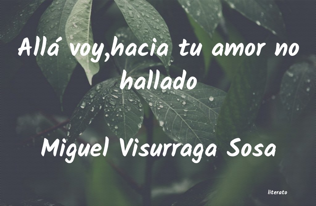 frases de Miguel Visurraga Sosa