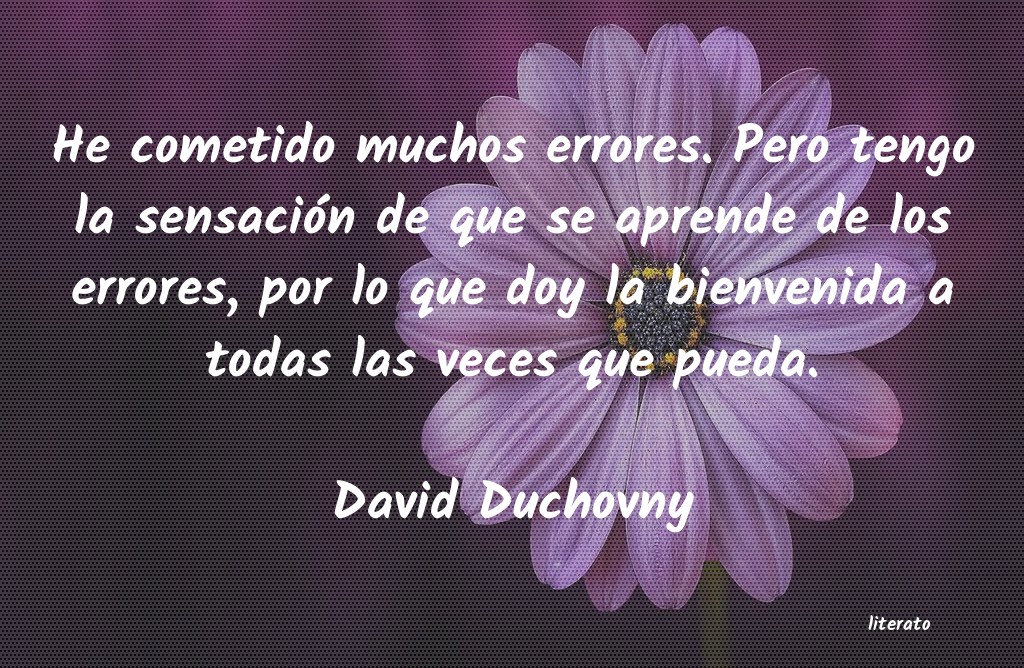 frases de David Duchovny