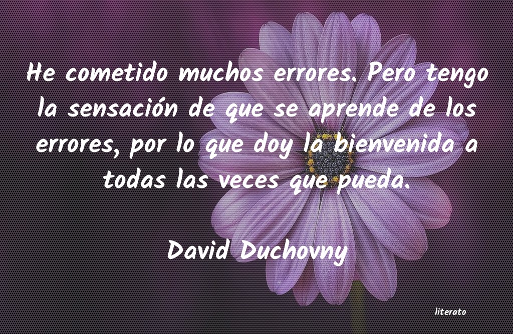 Frases de David Duchovny