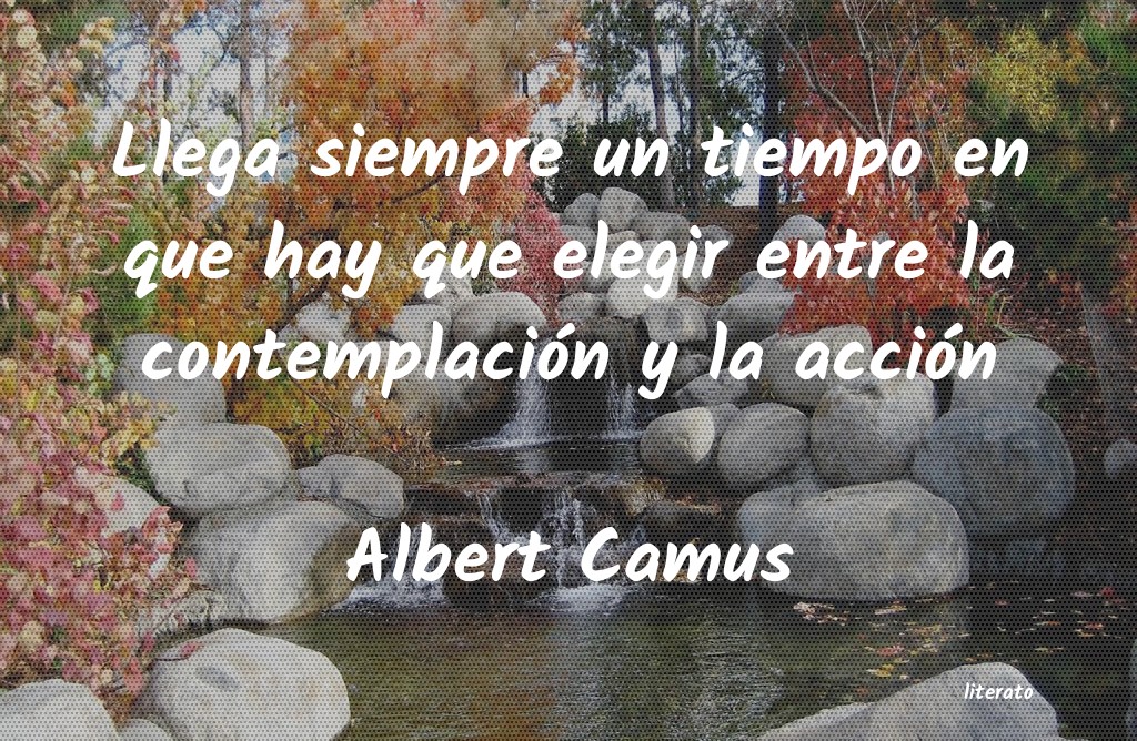 frases de Albert Camus