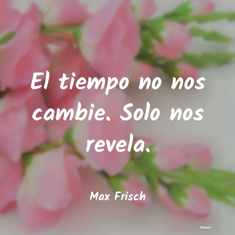 Frases de Max Frisch