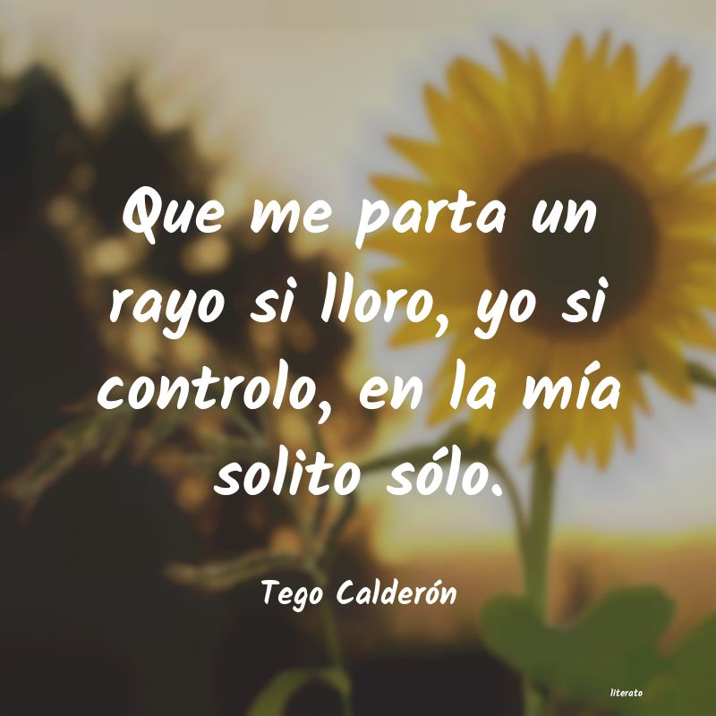 Frases de Tego Calderón