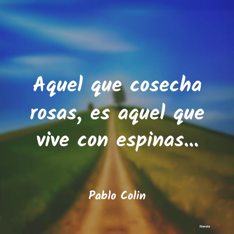 Frases de Pablo Colin