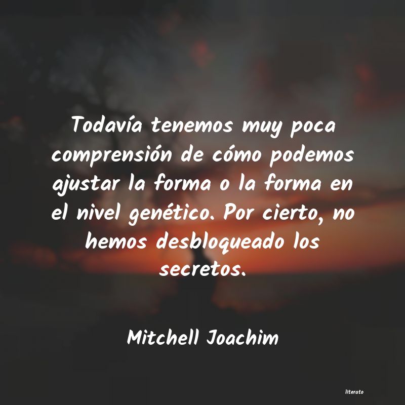 Frases de Mitchell Joachim