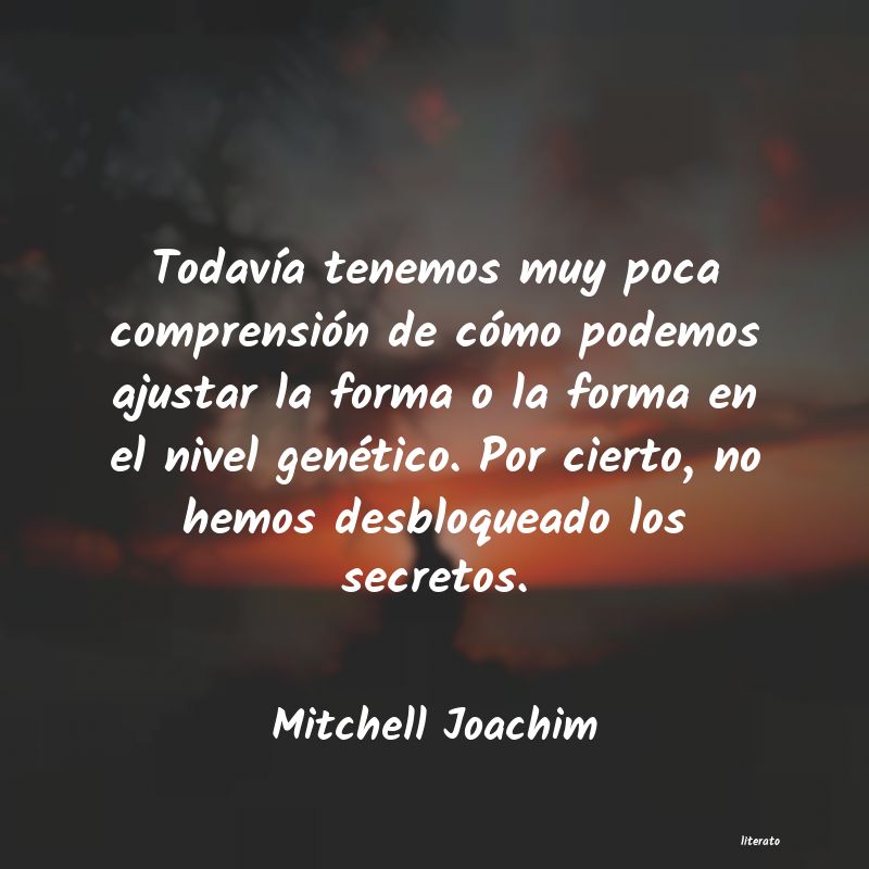 frases de Mitchell Joachim