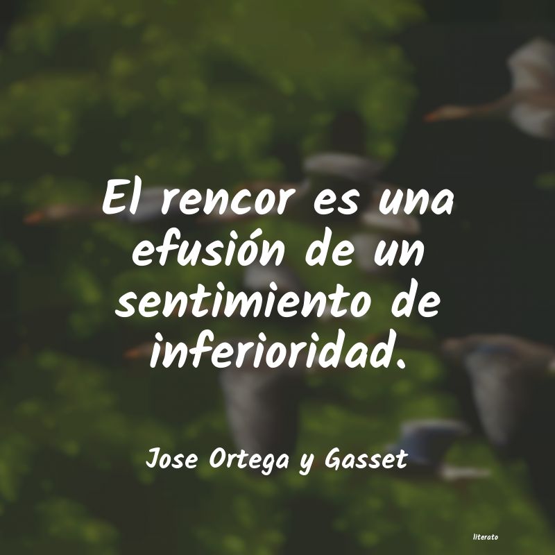 Frases de Jose Ortega y Gasset