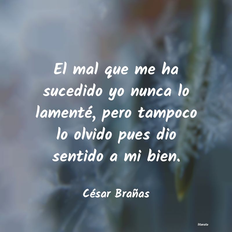 Frases de César Brañas