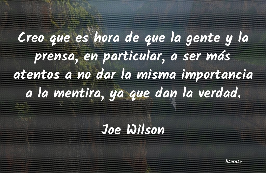 Frases de Joe Wilson