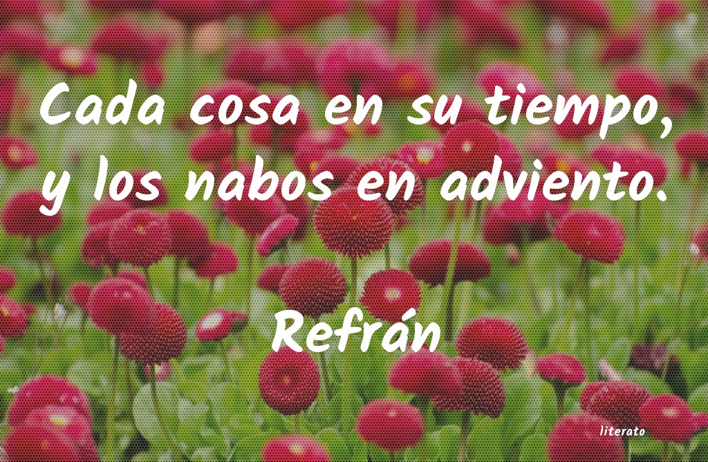 Frases de Refrán