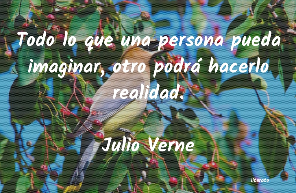 frases de amor julio verne