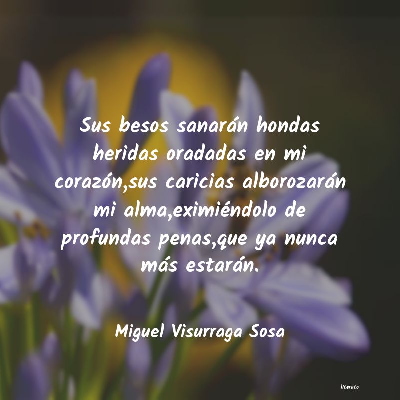 Frases de Miguel Visurraga Sosa