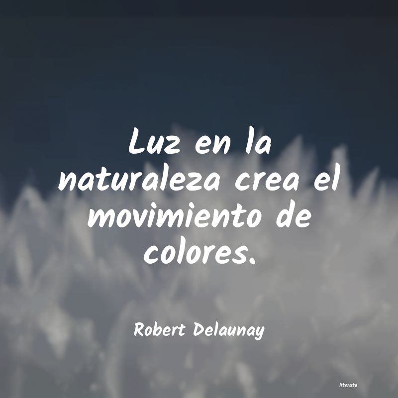 Frases de Robert Delaunay