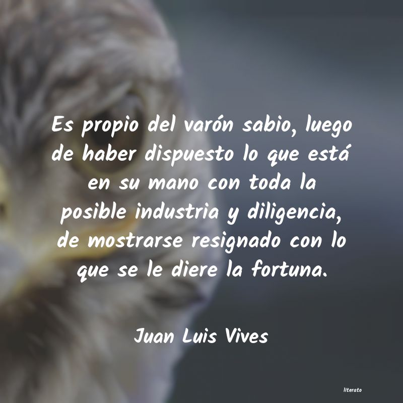 Frases de Juan Luis Vives