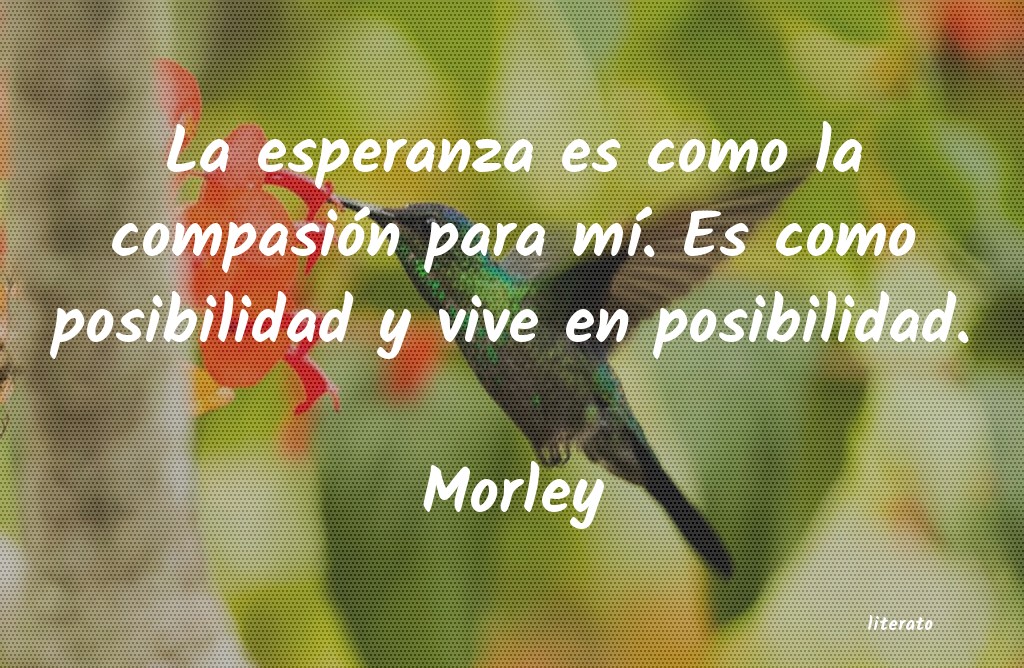 frases de Morley