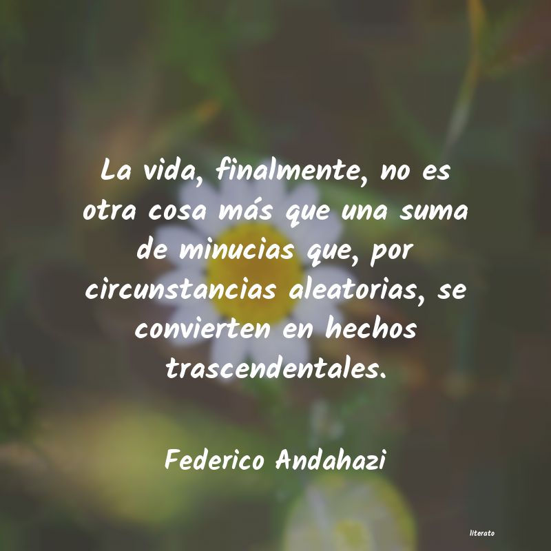 Frases de Federico Andahazi